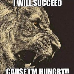 Meet your Posher, Donovon